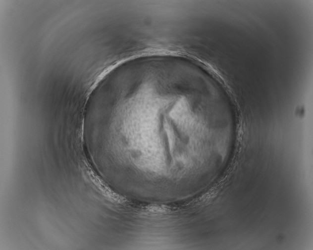 X0000112011220200908171435