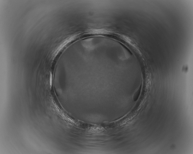 X0000112011221200908171435