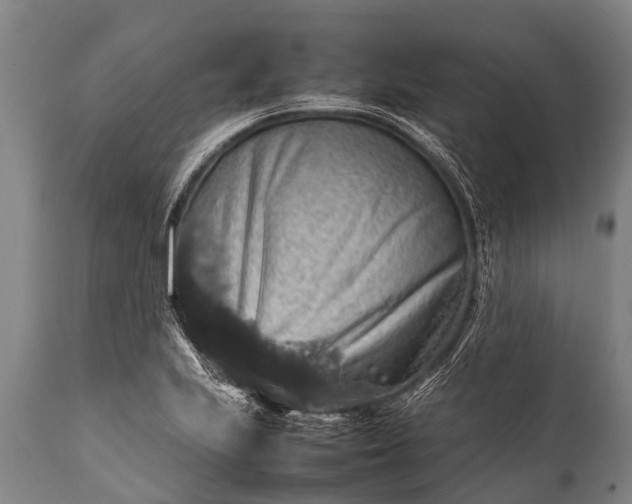 X0000112011223200908171435