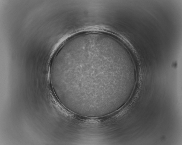 X0000112011224200908171435