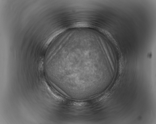 X0000112011225200908171435