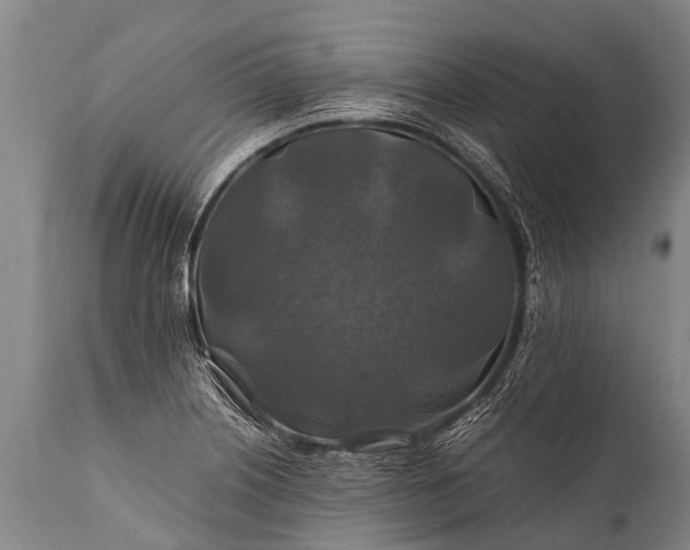 X0000112011226200908171435