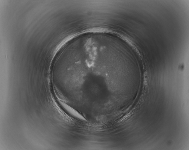 X0000112011229200908171435