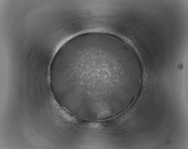 X0000112011230200908171435