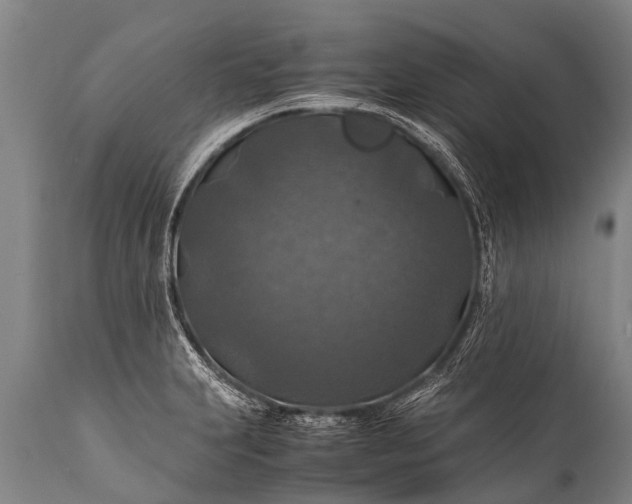 X0000112011231200908171435