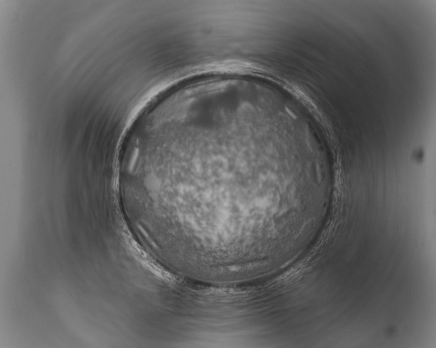 X0000112011232200908171435