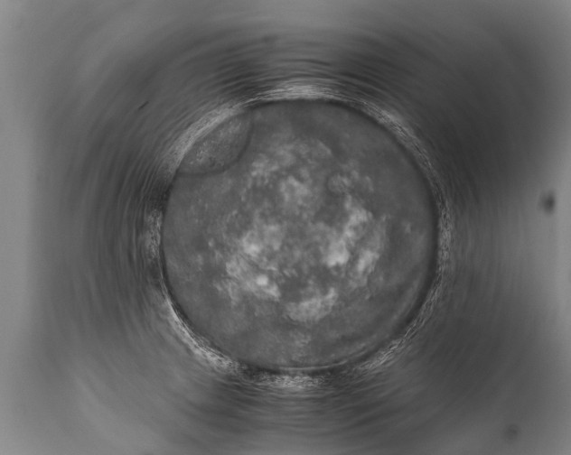 X0000112011233200908171435