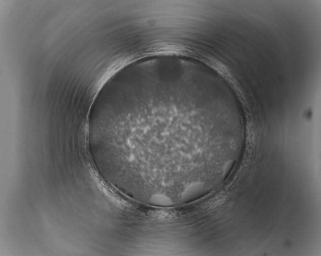 X0000112011234200908171435