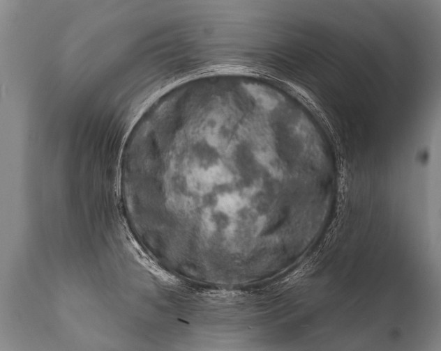 X0000112011236200908171435