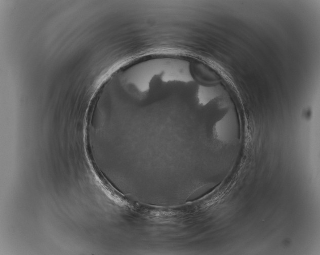 X0000112011237200908171435