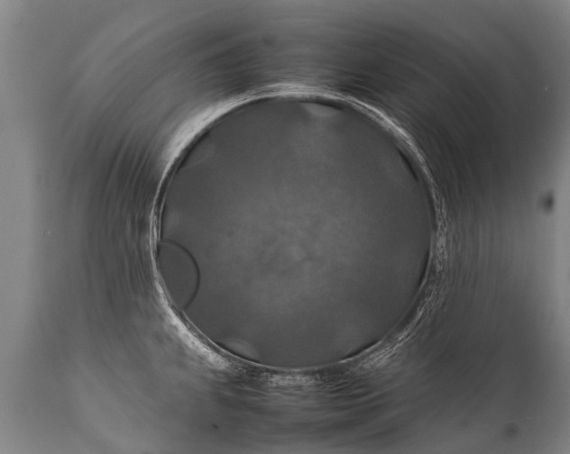 X0000112011239200908171435