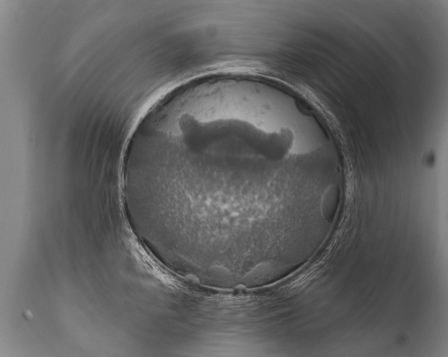 X0000112011240200908171435