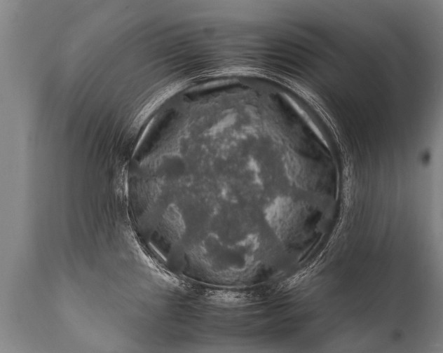 X0000112011241200908171435