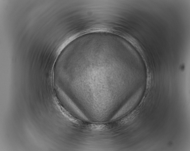 X0000112011242200908171435