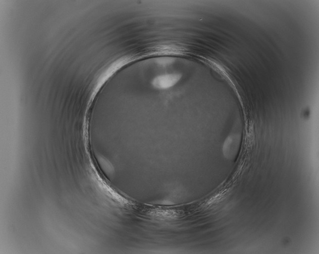 X0000112011243200908171435