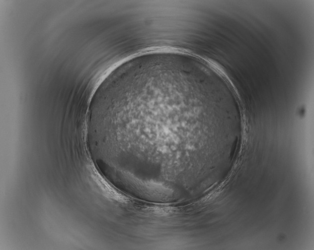 X0000112011244200908171435