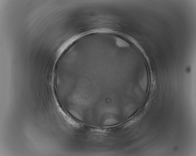 X0000112011245200908171435