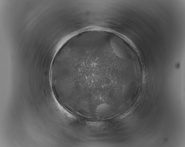 X0000112011247200908171435