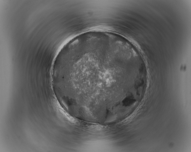 X0000112011248200908171435