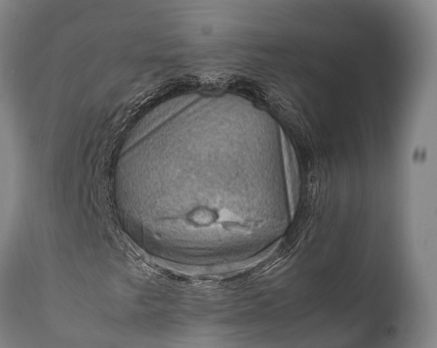 X0000112011249200908171434