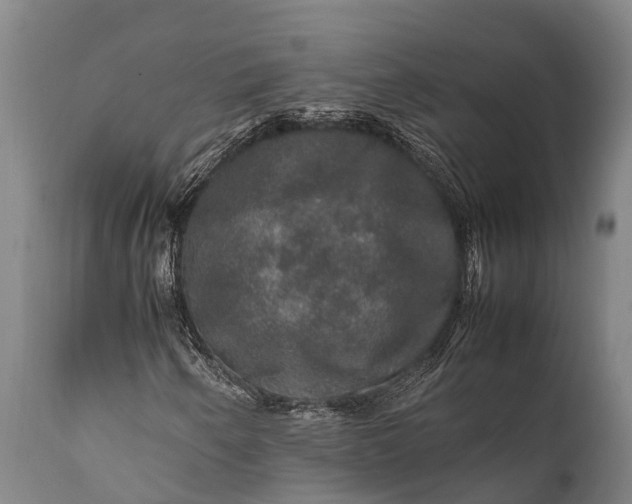 X0000112011250200908171434