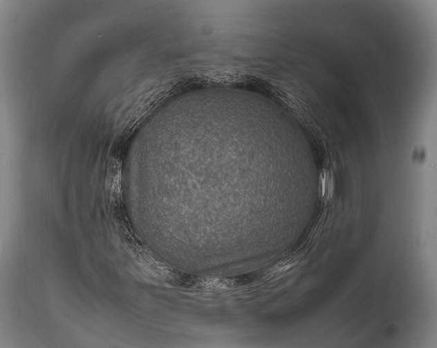 X0000112011251200908171434