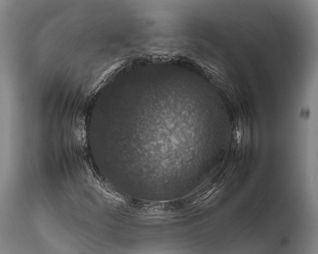 X0000112011252200908171434