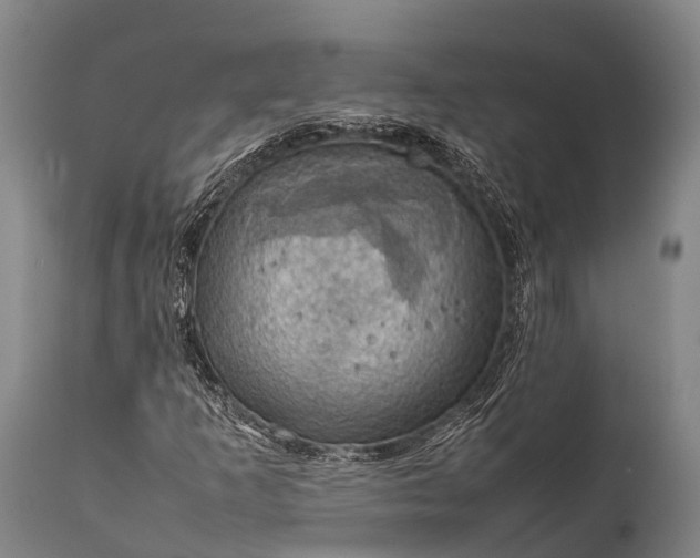 X0000112011253200908171434