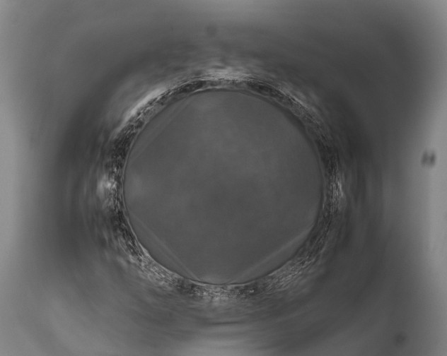 X0000112011254200908171434