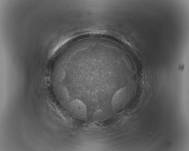 X0000112011255200908171434