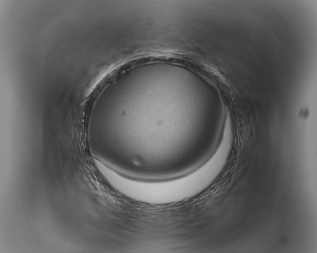 X0000112011256200908171434