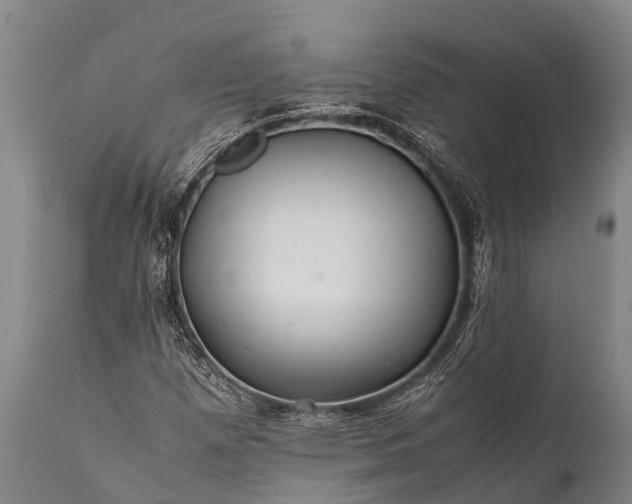 X0000112011257200908171434