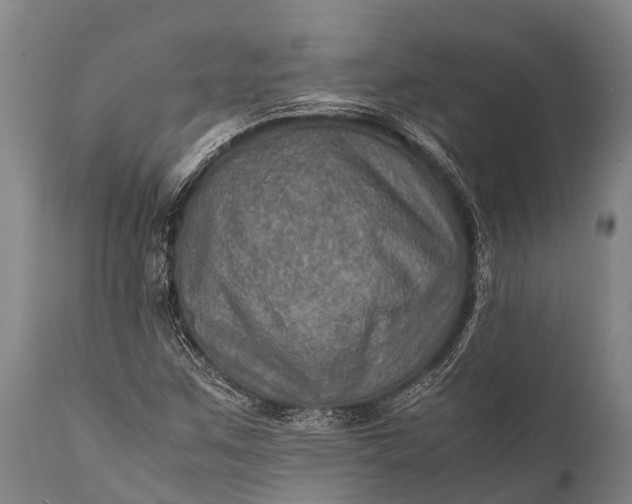 X0000112011259200908171434