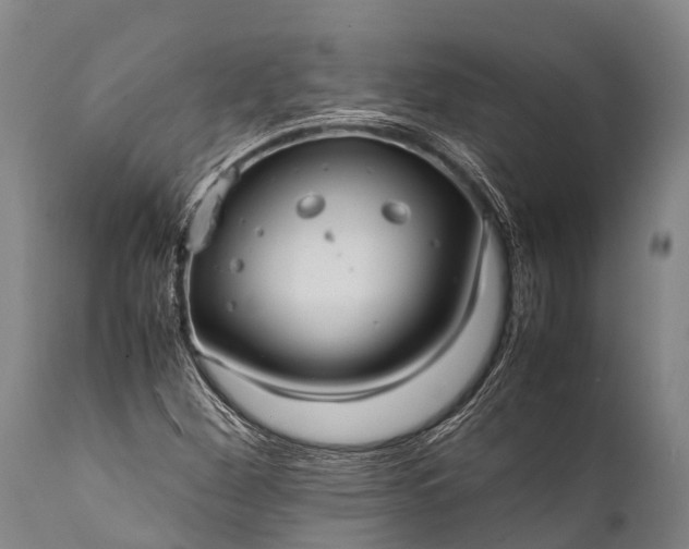 X0000112011260200908171434