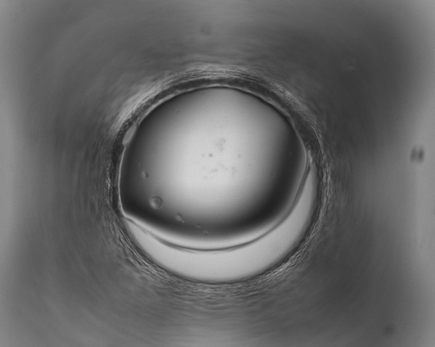 X0000112011261200908171434