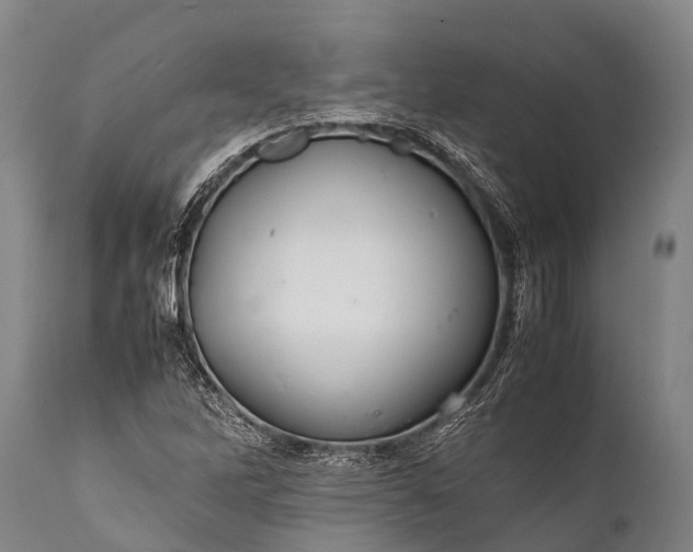 X0000112011262200908171434