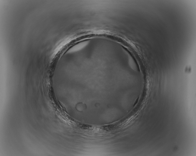 X0000112011263200908171434