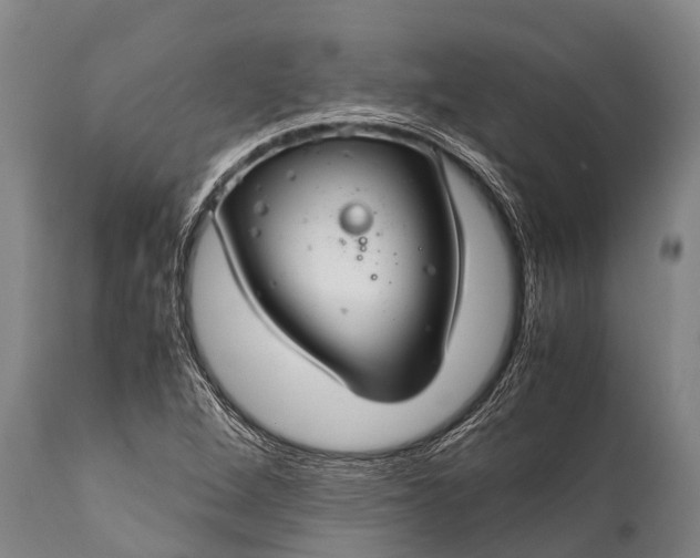 X0000112011264200908171434