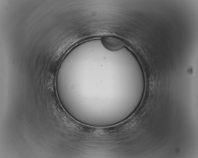 X0000112011265200908171434