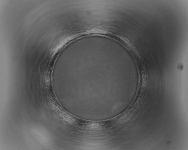 X0000112011266200908171434