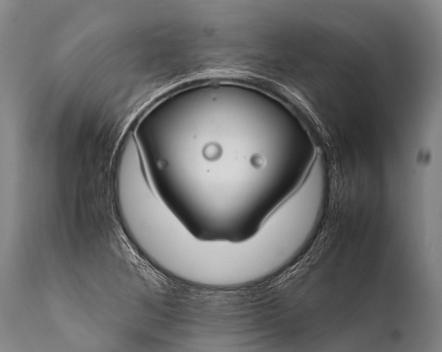 X0000112011268200908171434