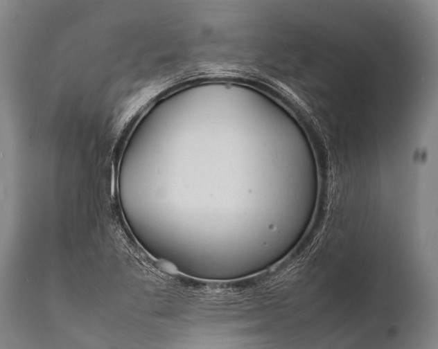 X0000112011269200908171434