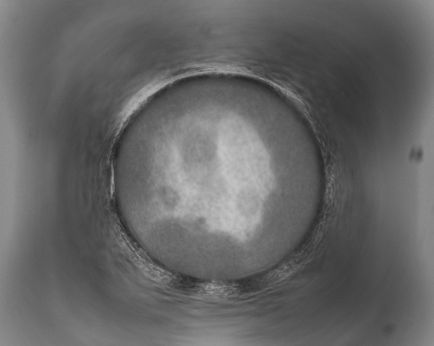 X0000112011271200908171434