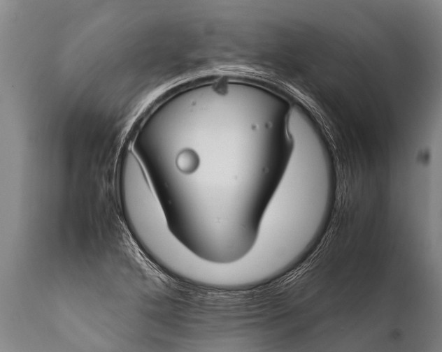 X0000112011272200908171434