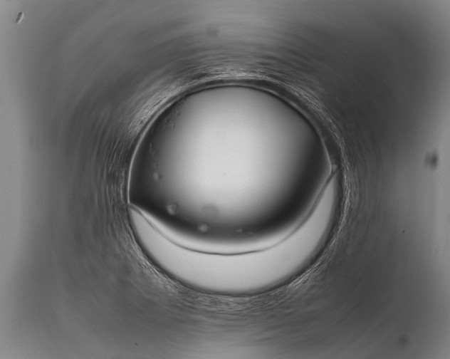 X0000112011273200908171434