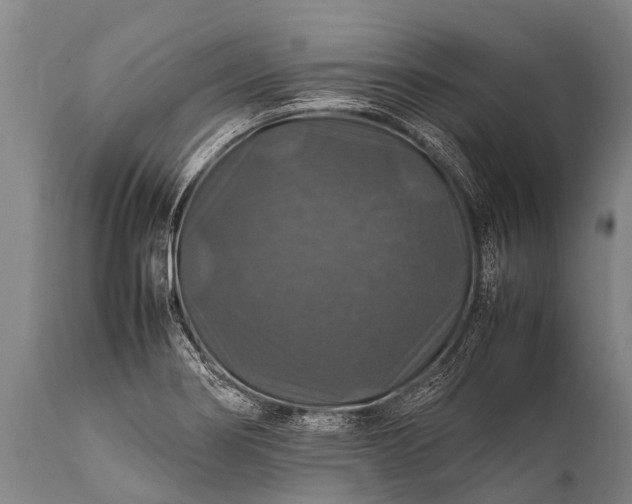 X0000112011274200908171434