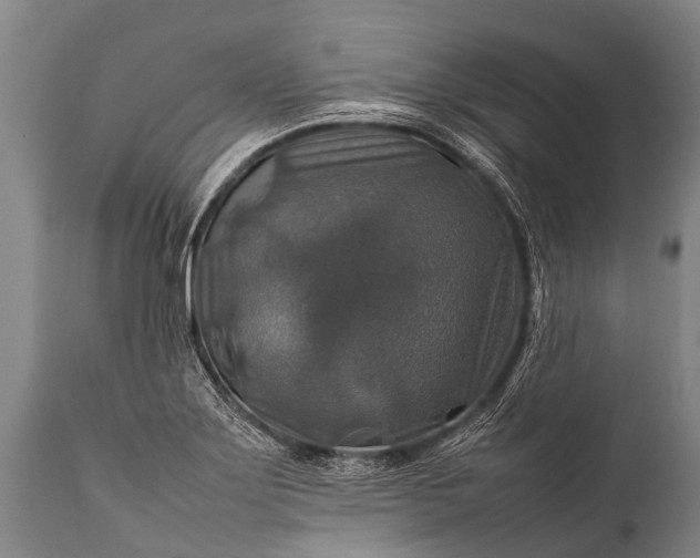 X0000112011275200908171434