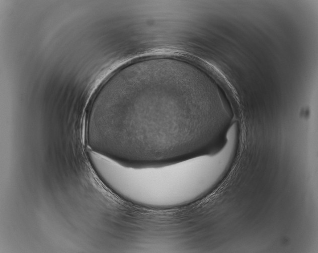 X0000112011276200908171434