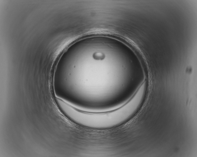 X0000112011277200908171434