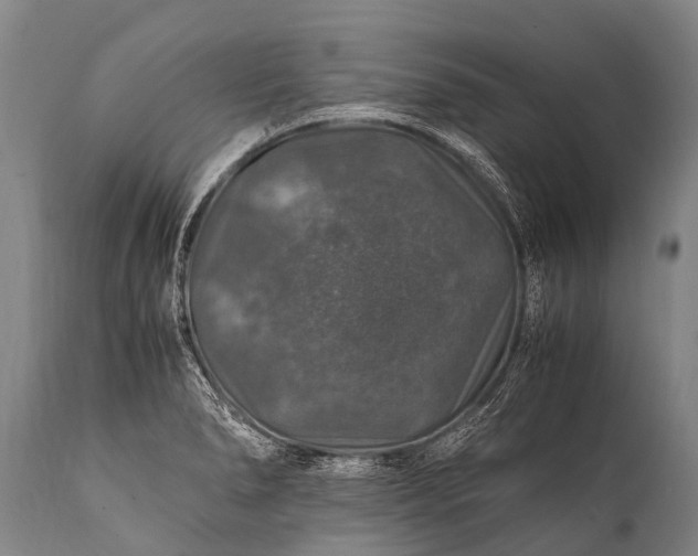 X0000112011278200908171434